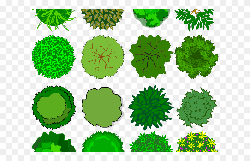 632x481 Длинный Клипарт Вид Сверху Eps Topik Color Blind Test, Зеленый, Лист, Растение Hd Png Скачать