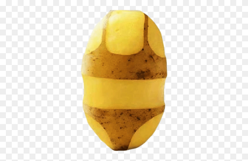 301x485 Long Live The Reign Of The Potato Russet Burbank Potato, Vegetable, Plant, Food HD PNG Download