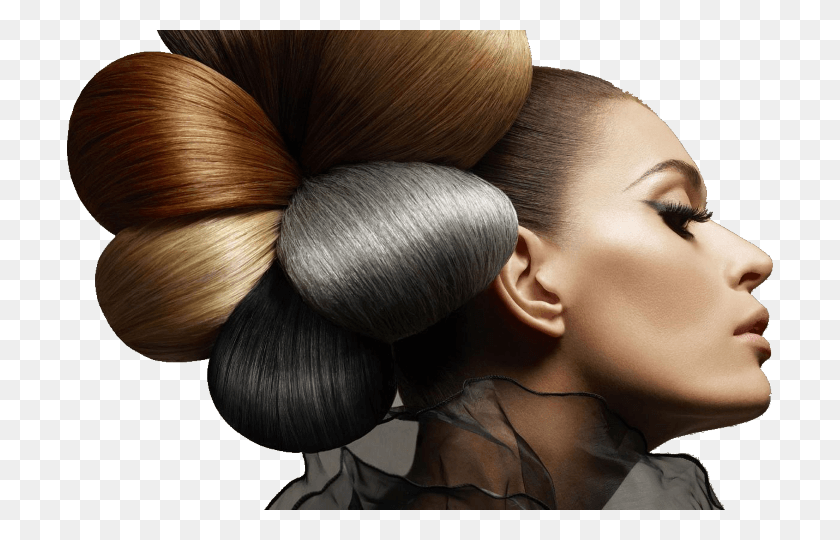 706x480 Looking For Haircuts Amp Hair Services Salon Hair Style, Person, Human, Fungus HD PNG Download