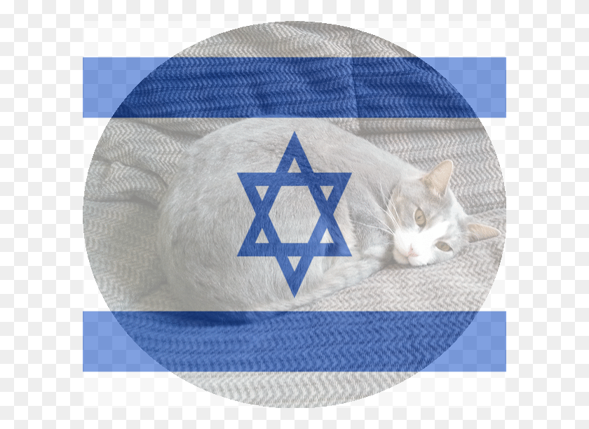 604x553 Descargar Png / Bandera De Israel Png