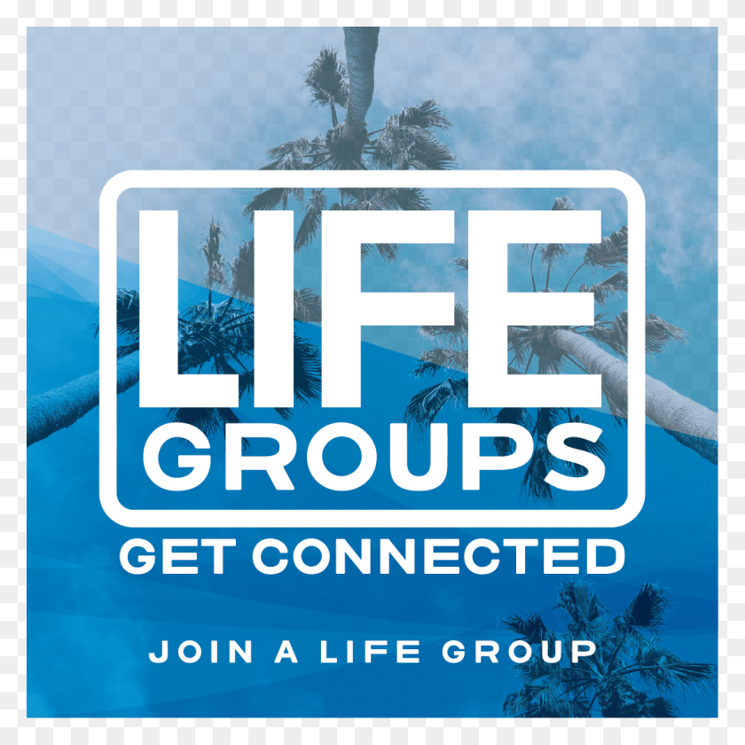 1081x1081 Looking To Get Connected At North Coast Life Group Poster, Outdoors, Person, Word HD PNG Download