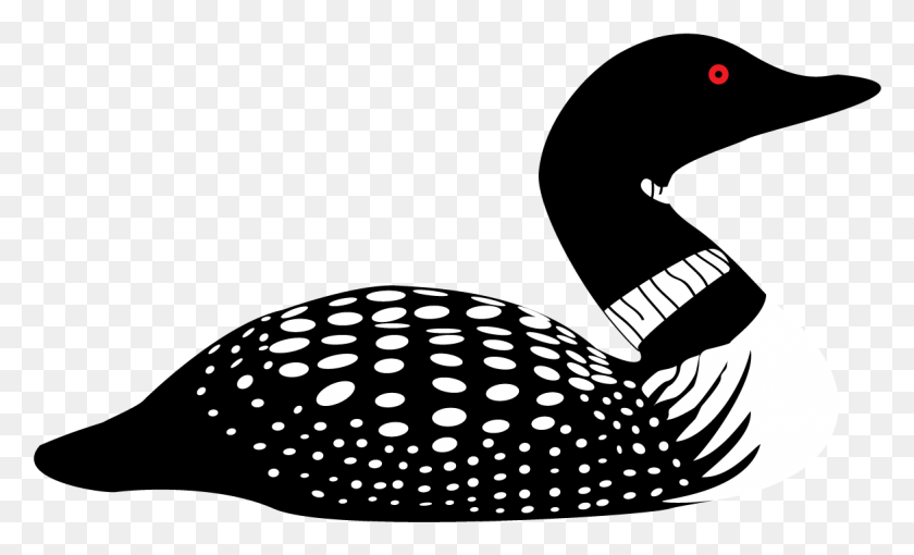 1171x677 Loon Transparent Loon Loon Clipart, Animal, Pillow, Cushion HD PNG Download
