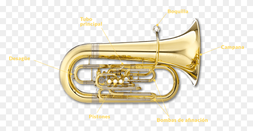 1371x660 Los Autenticos Reyes De La Banda 2014 Partes De La Tuba, Horn, Brass Section, Musical Instrument Hd Png