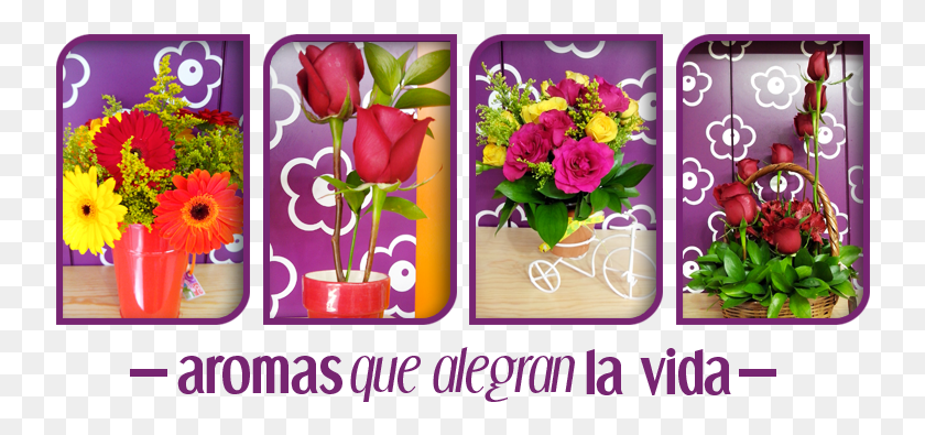 740x335 Чайная Роза Los Colores Y Variedades De Flores As Como Las Bases, Графика, Цветочный Дизайн Png Скачать