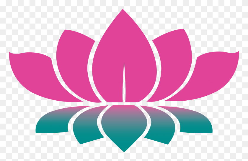 2955x1846 Lotus, Plant, Flower, Blossom HD PNG Download