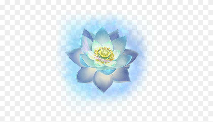 428x422 Lotus Flower Chinese Asian Ftestickers Sacred Lotus, Plant, Dahlia, Flower HD PNG Download