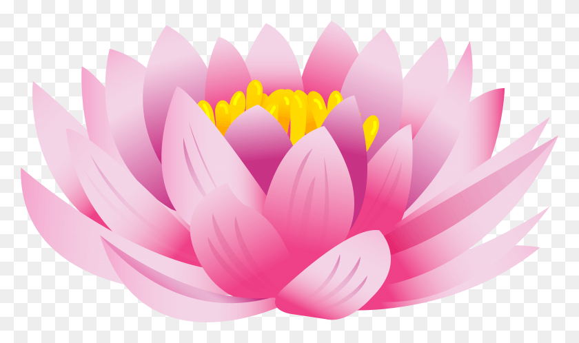 7919x4451 Цветок Лотоса Изображения Фон Gambar Bunga Teratai, Растение, Лилия, Цветок Hd Png Скачать