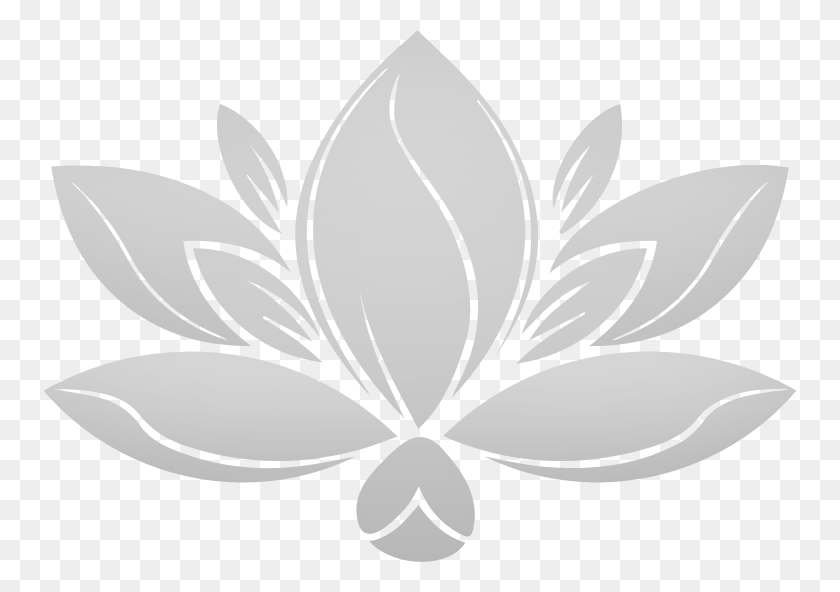 754x532 Lotus Gray No Background Lotus Flower Black And White Clipart, Floral Design, Pattern, Graphics HD PNG Download