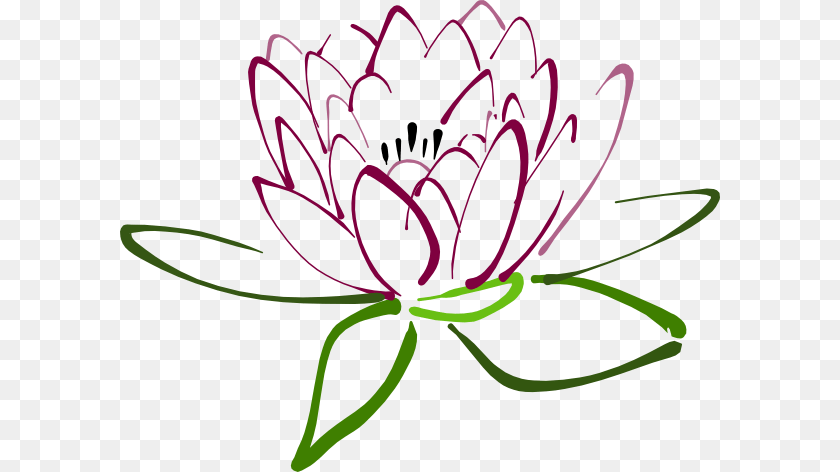 600x472 Lotus Lilac Clip Art, Dahlia, Flower, Plant, Anther Clipart PNG