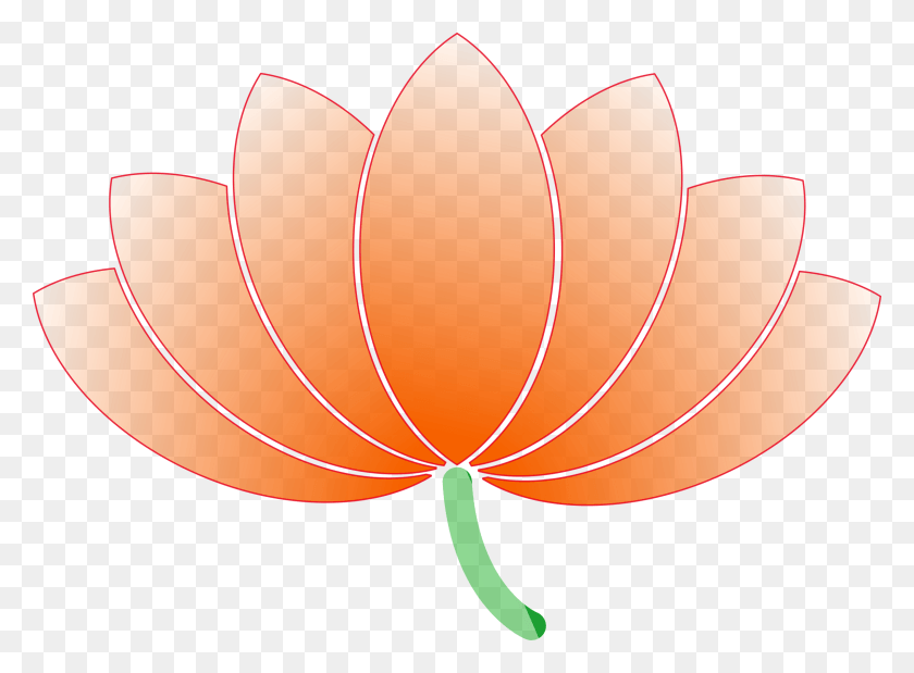 2400x1723 Lotus Peach Colored Flowers Clipart, Plant, Petal, Flower HD PNG Download