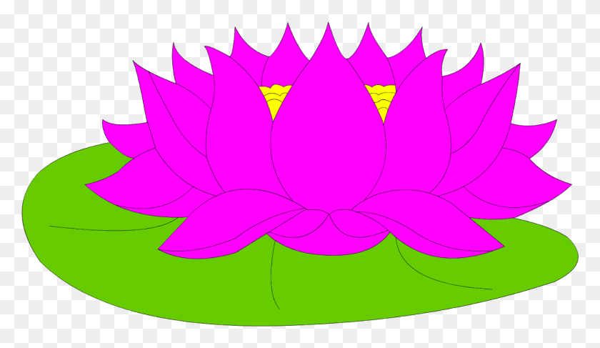 1326x726 Lotus The National Flower Of India Stands For Purity Sacred Lotus, Pattern, Ornament, Fractal HD PNG Download