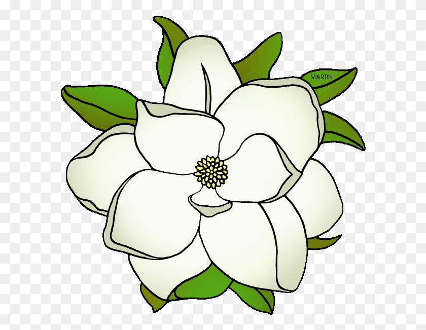 602x591 Louisiana Clip Art Free Mississippi State Flower, Petal, Plant, Blossom HD PNG Download