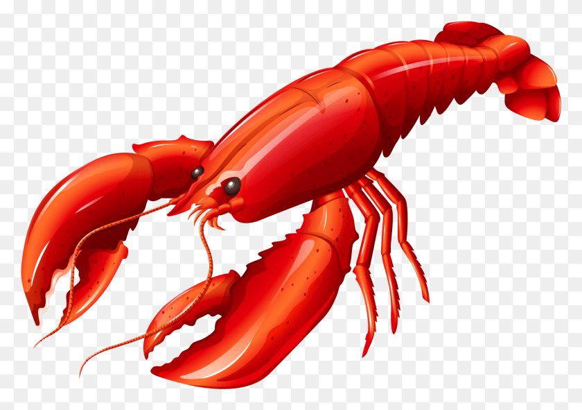 2499x1703 Louisiana Clipart Lobster Lobster Clipart, Seafood, Sea Life, Food HD PNG Download