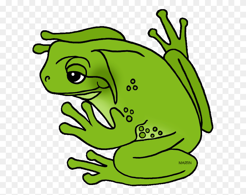 619x604 Louisiana State Amphibian Green Tree Frog Clipart, Wildlife, Animal, Tree Frog HD PNG Download