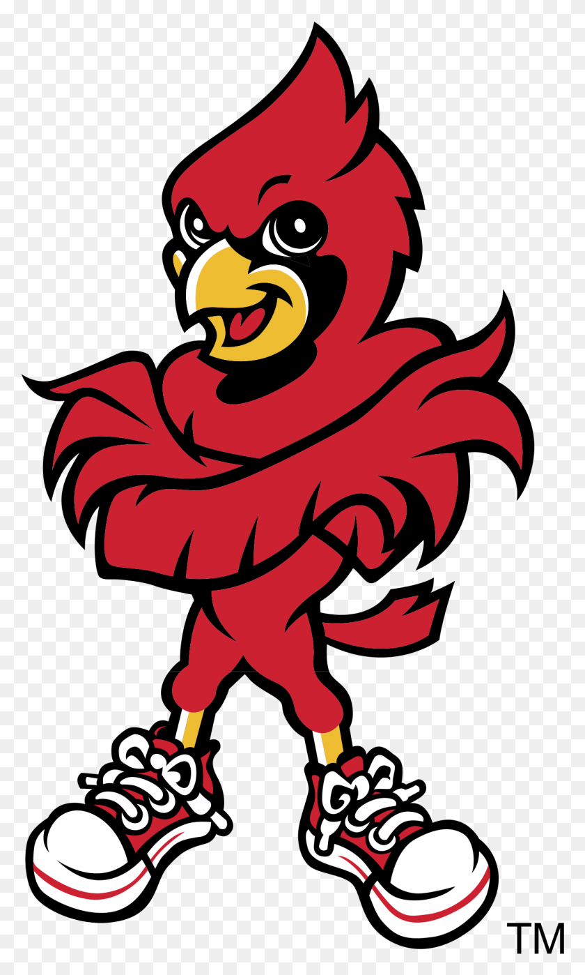 1277x2191 Louisville Cardinals Logo Transparent Louisville Cardinals Mascot Vector, Bowl, Graphics HD PNG Download