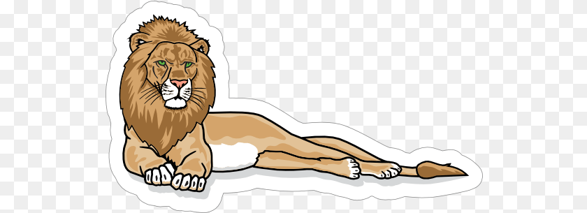 541x305 Lounging Lion Mascot Sticker Masai Lion, Animal, Mammal, Wildlife Transparent PNG