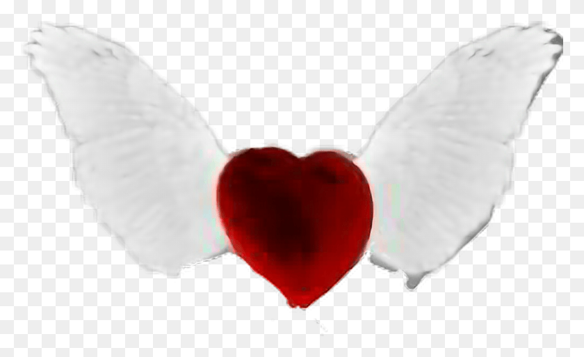 1012x588 Love Angel Heart Wings Heart, Petal, Flower, Plant HD PNG Download