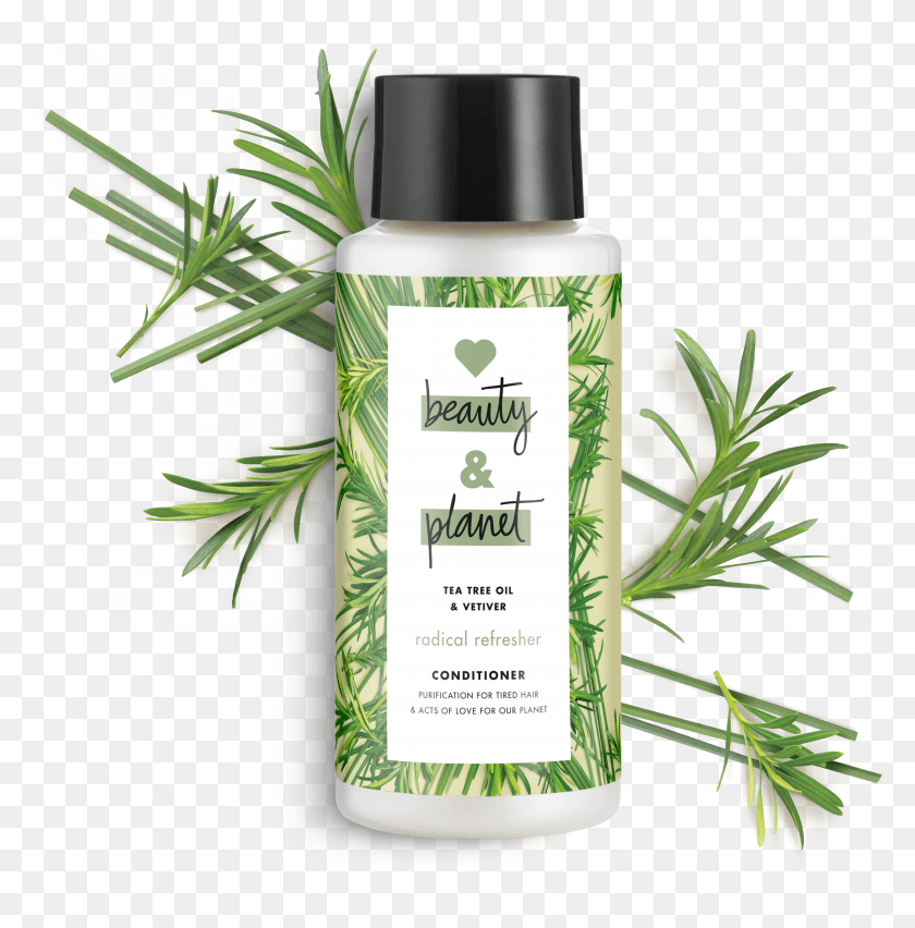 4786x4864 Love Beauty And Planet Tea Tree Oil Amp Vetiver Conditioner HD PNG Download