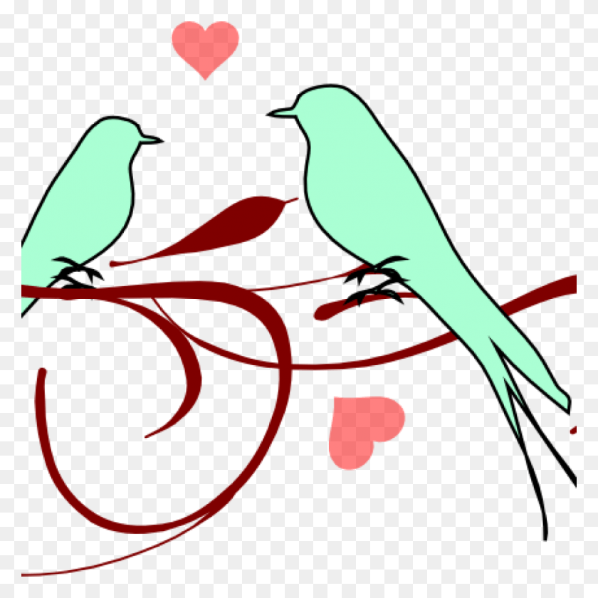 1024x1024 Love Birds Clipart Love Birds Clipart Free Clipart Love Birds Clip Arts, Bird, Animal, Amphibian HD PNG Download