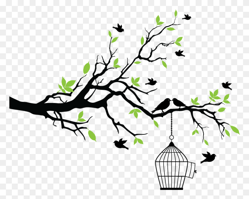 792x622 Love Birds Drawing, Leaf, Plant HD PNG Download