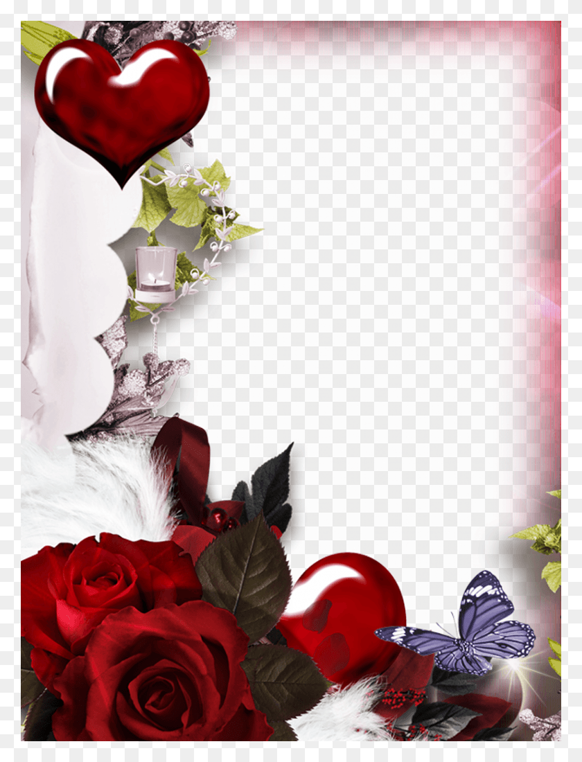 825x1100 Love Frames Garden Roses, Plant, Flower, Blossom HD PNG Download