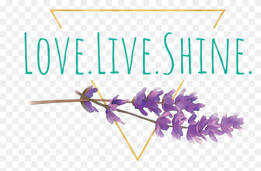 1306x823 Love Live Shine, Plant, Flower, Blossom Descargar Hd Png