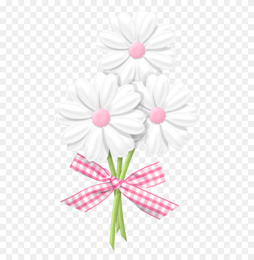 473x800 Love Love Love This Buon Martedi Marted Buongiorno A Tutti, Растение, Цветок, Цветение Png Скачать