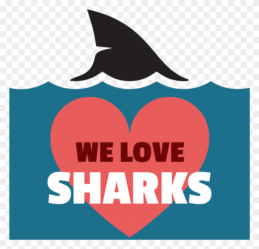3531x3394 Love Of Sharks, Advertisement, Poster, Flyer HD PNG Download