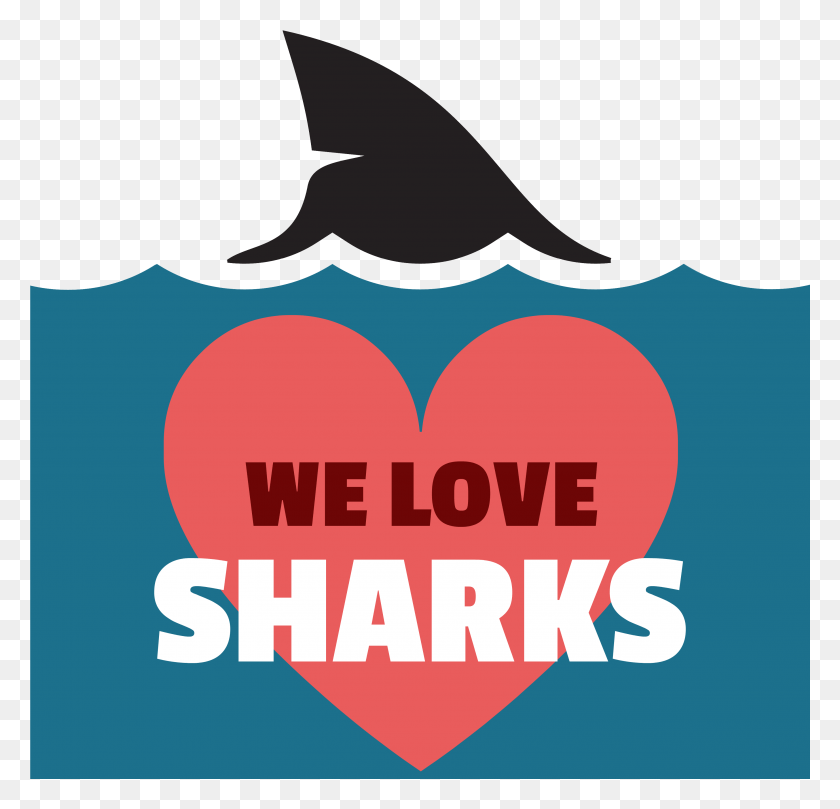 3531x3394 Love Of Sharks, Advertisement, Poster, Flyer Descargar Hd Png