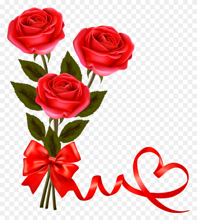 901x1016 Love Red Roses Rose Image, Plant, Flower, Blossom HD PNG Download