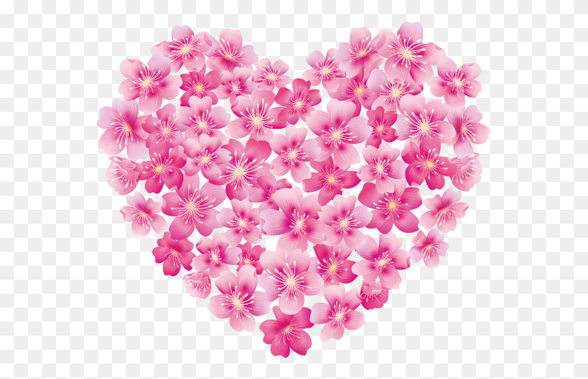 563x482 Love Valentinesday Valentine Blast Bloom Flower Pink Love Heart Flowers, Plant, Blossom, Petal HD PNG Download