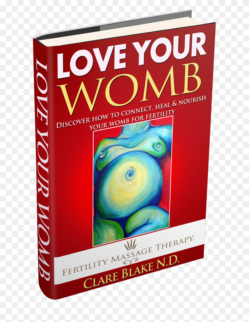 619x1027 Love Your Womb E Book Book Cover, Novel, Advertisement, Poster HD PNG Download