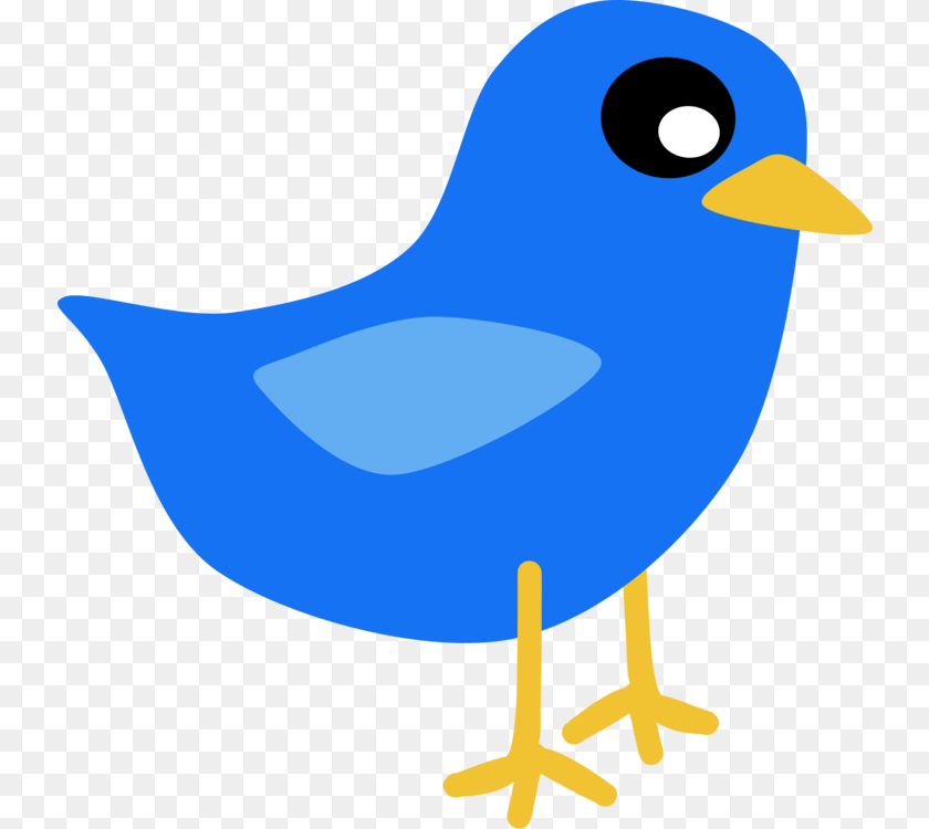 Lovebird Parrot Drawing Cartoon, Animal, Beak, Bird, Jay PNG