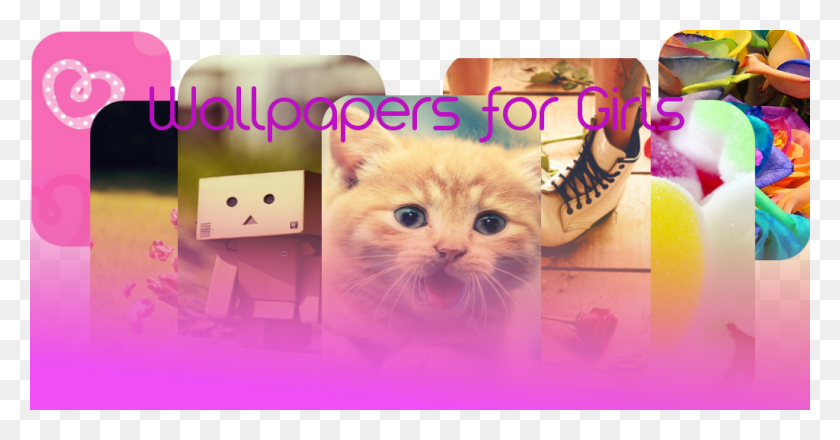 1024x500 Lovely Wallpapers Kitten, Clothing, Apparel, Cat HD PNG Download