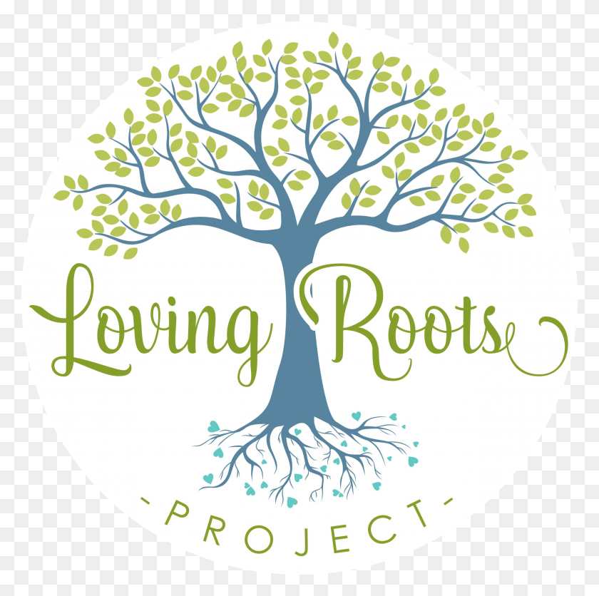 2500x2490 Loving Roots Project, Plant, Root, Tree HD PNG Download