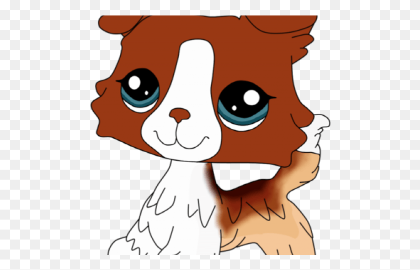 482x481 Lps Collie Dog Drawing, Face, Animal HD PNG Download