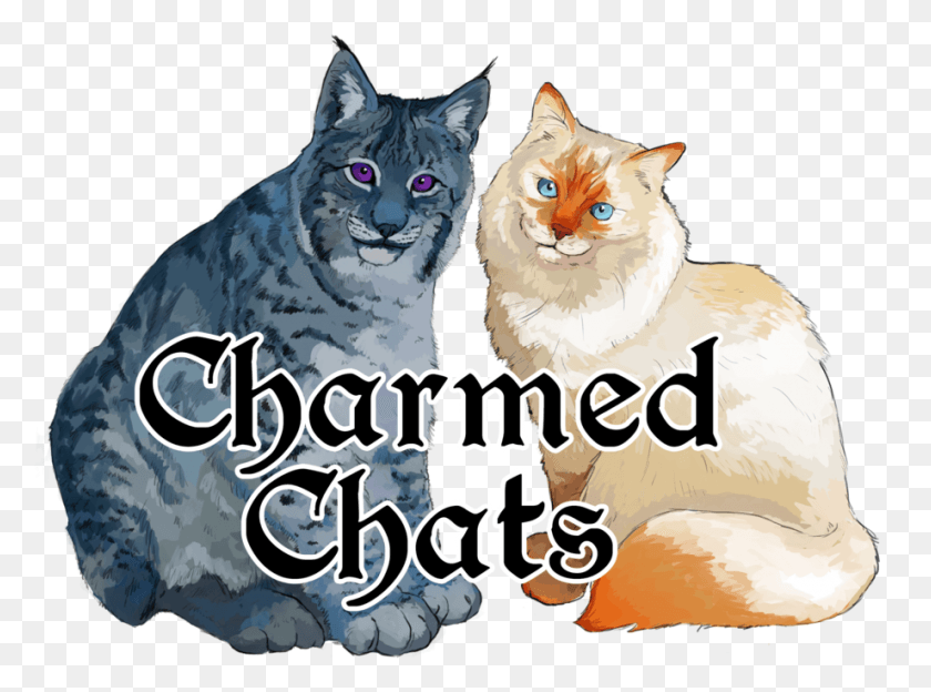 920x666 Ltbrgtepisode 209ltbrgt Charmed Chats, Mammal, Animal, Cat HD PNG Download