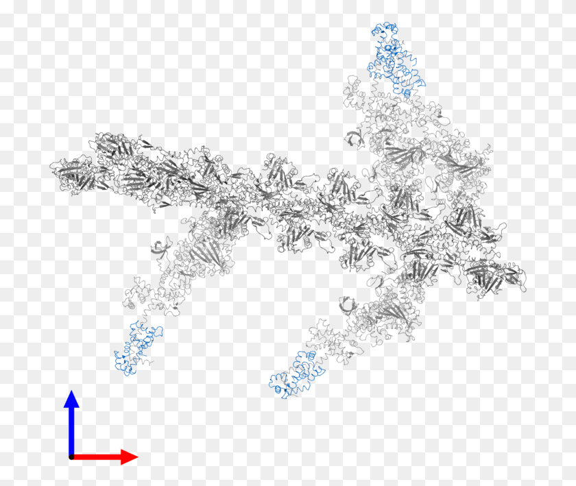699x649 Ltdiv Class39caption Body39gtpdb Entry 1m8q Contains 4 Christmas Tree, Pattern, Fractal, Ornament HD PNG Download