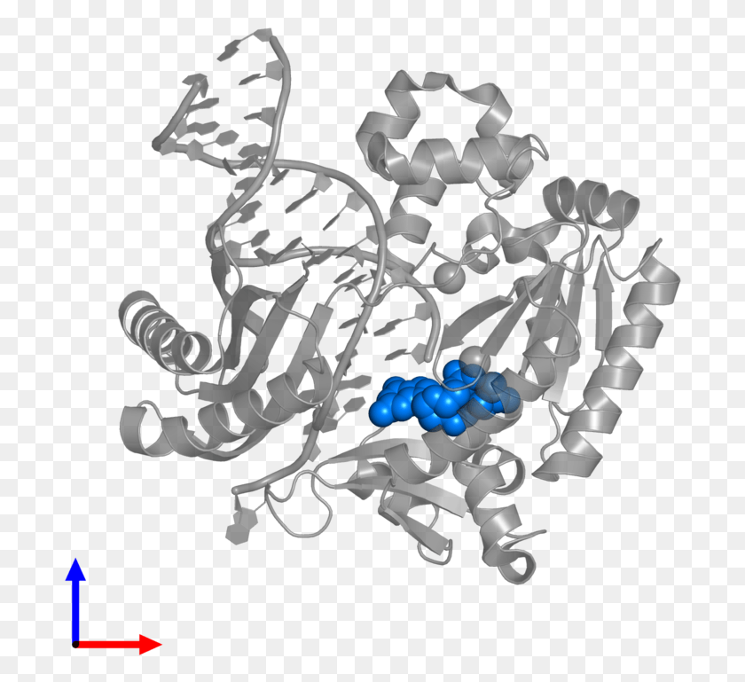 696x709 Ltdiv Class39caption Body39gtpdb Entry 3gil Contains 1 Bead, Graphics, Floral Design HD PNG Download