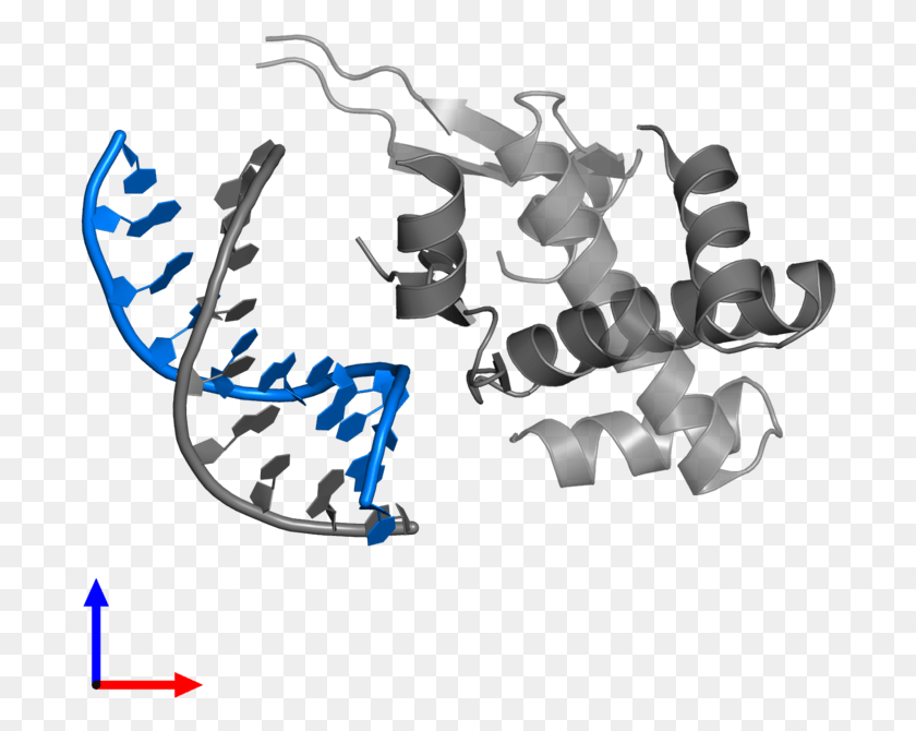 694x610 Ltdiv Class39caption Body39gtpdb Entry 4yft Contains 1 Calligraphy, Text, Handwriting, Graphics HD PNG Download