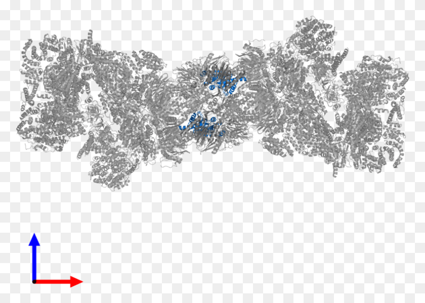 789x546 Ltdiv Class39caption Body39gtpdb Entry 5gjr Contains 2 Tree, Snowflake, Crystal, Mineral HD PNG Download