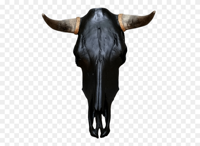 527x554 Ltlt Re Purposed Cow Skull Gtgt This Hand Painted Cow Skull Bull, Mammal, Animal, Ox HD PNG Download