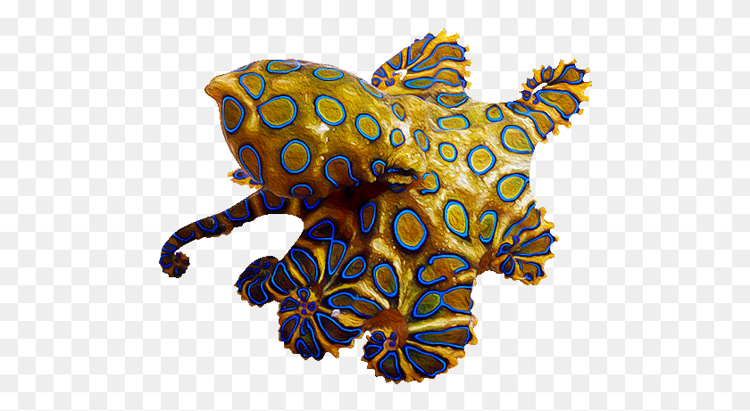486x401 Ltp Class Rtecenter Gtltstronggtreal Sea Monsters, Fish, Animal, Sea Life HD PNG Download