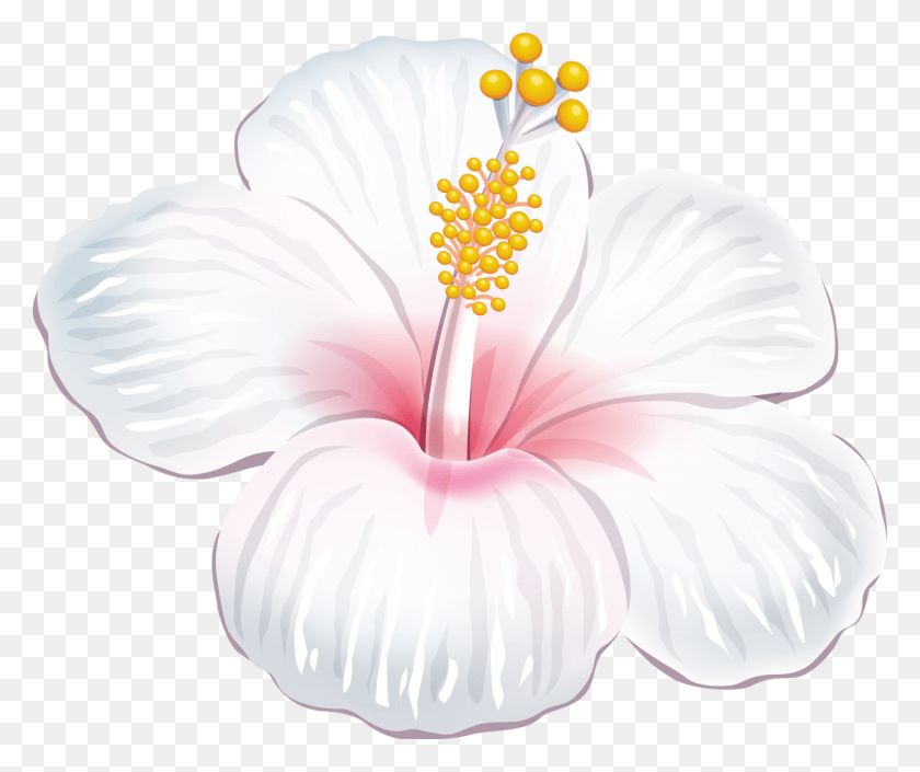1280x1060 Луау Клипарт Фиолетовый Гавайский Цветок Белый Гибискус, Растение, Цветок, Цветение Hd Png Скачать