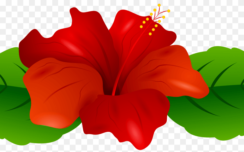 1368x855 Luau Necklace Clip Art Hot Trending Now, Flower, Hibiscus, Plant PNG