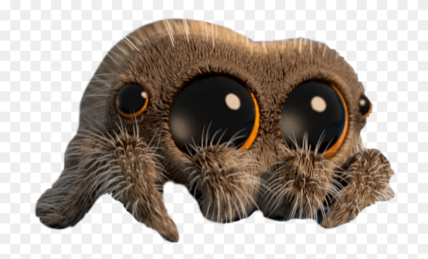 715x450 Lucas Spider, Animal, Invertebrate, Insect HD PNG Download