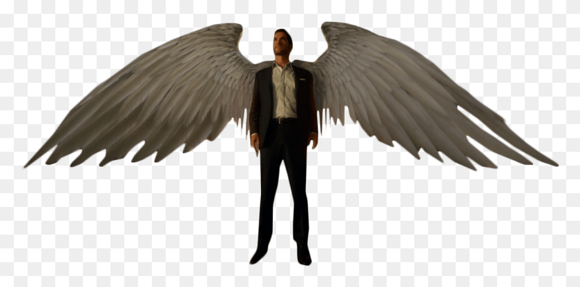 1233x564 Lucifer Morning Star With Wings Image Lucifer Morningstar, Bird, Animal HD PNG Download