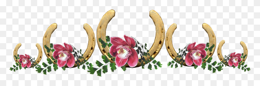 1209x340 Lucky Horse Shoes Orchids Flowers Horseshoe And Flowers, Plant, Flower, Blossom Descargar Hd Png