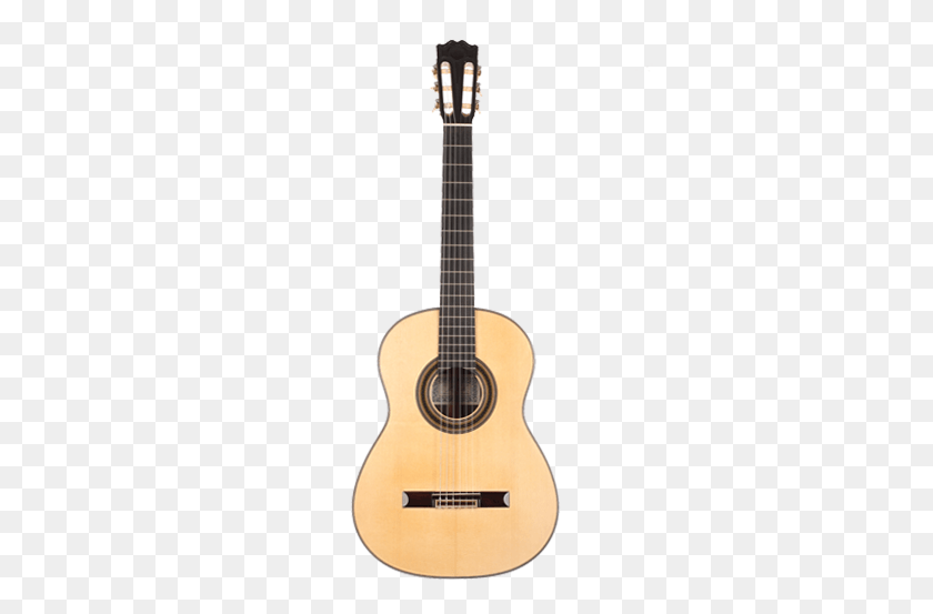 337x493 Descargar Png / Guitarra Clásica, Luigi Locatto, Instrumento Musical, Bajo Hd Png