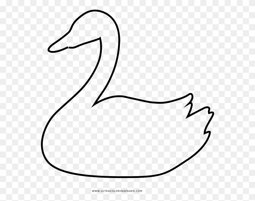 573x603 Lujo Cisne Para Colorear Ornamento Duck, Серый, Мир Варкрафта Png Скачать